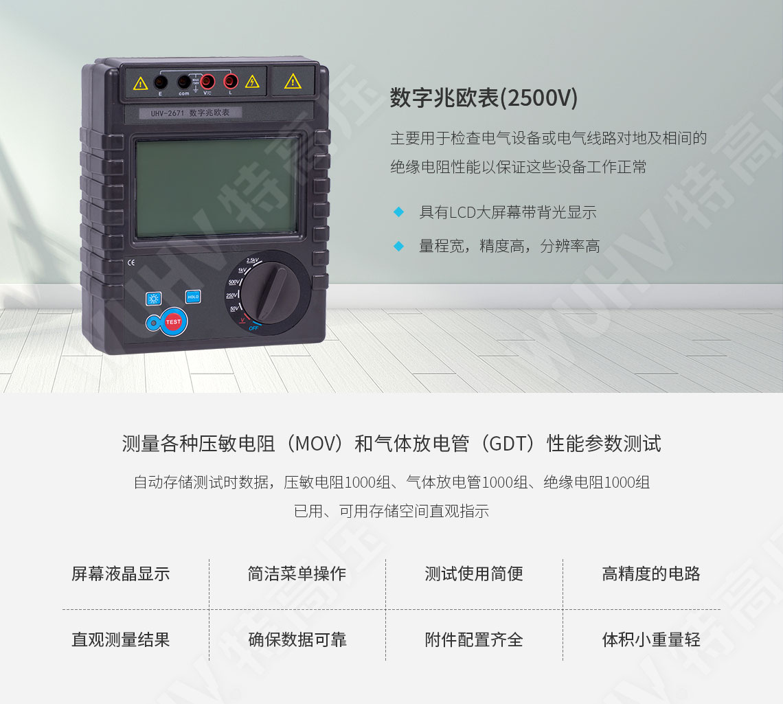 HT2671 數(shù)字兆歐表(2500V)(圖1)