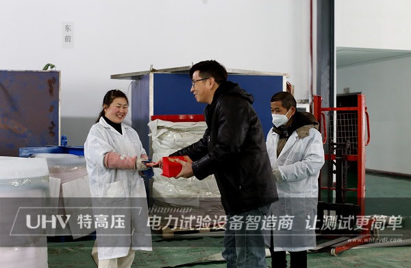 開業大吉！特高壓電力開啟全新征程(圖2)