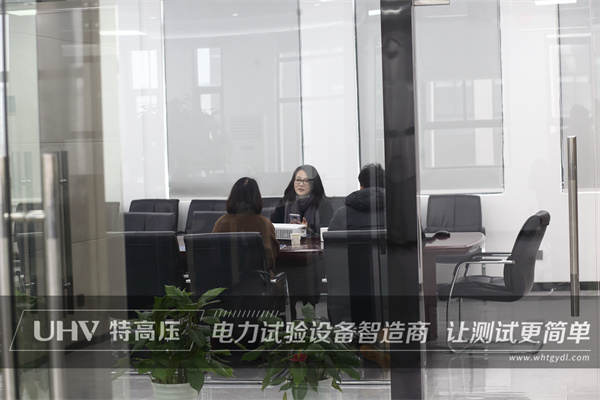 喜迎貴客臨門，浙江客戶來訪特高壓電力！(圖1)