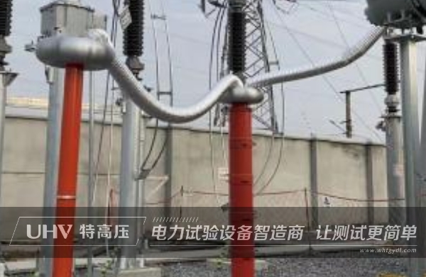 技術(shù)人員高專業(yè)度備受贊賞，成功助力仙桃變電站GIS電力交接性試驗！(圖1)